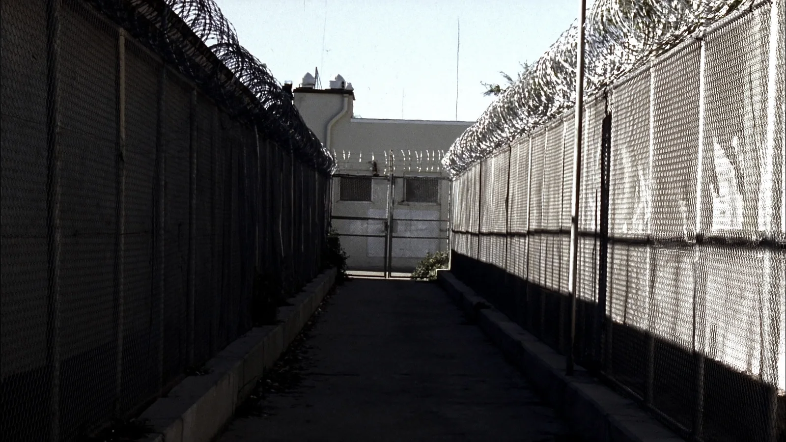 A narrow concrete walkway between two lines of chain-link fencing topped with razor wire