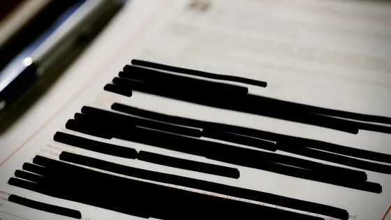 A legal document with heavy redaction bars across it
